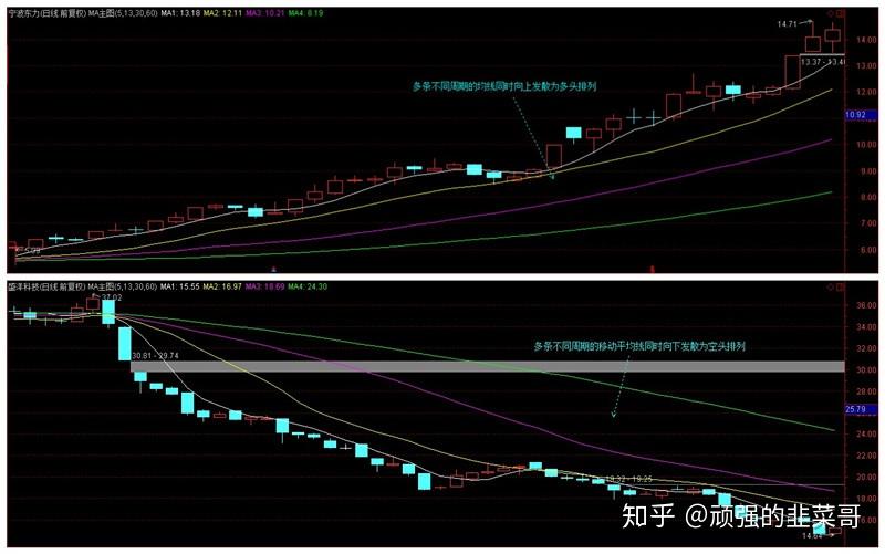 厦门市市场监管局举办“匠星闪耀 计量追光”座谈交流会